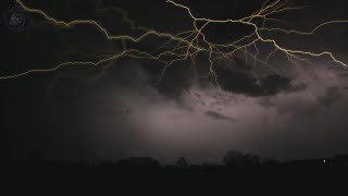 ⚡ Rolling Thunder Sleep Ambience with Clear Relaxing Sounds of Lightning and Rain Falling on Leaves [upl. by Ayatahs]