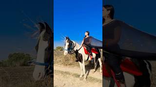 Tag horse lovers shortsvideo horselover horse horseriding horseracing ytshorts viralshort [upl. by Farkas]