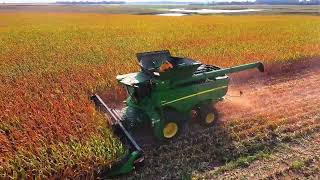 Early Corn Harvest [upl. by Inoue]