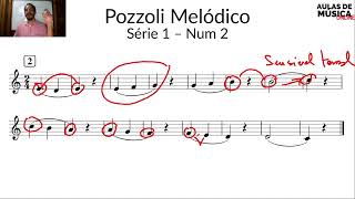 Pozzoli Melódico  Série 1 clubedeleituramusical [upl. by Antrim779]