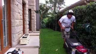 Lawn Mowing Northern Beaches Sydney Pittwater Mowing  How to mow the lawn [upl. by Achorn]