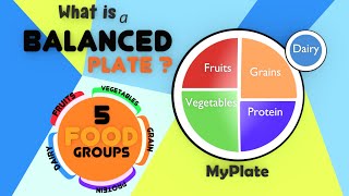 The Food Pyramid for Kids  Balanced Diet  Food Groups And Nutrition  Healthy Plate for Kids [upl. by Sonni]