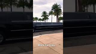 Limo Car trending vintagecars automobile viralcars luxury car supercar yt ytshorts shorts [upl. by Ahsel638]