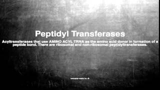 Medical vocabulary What does Peptidyl Transferases mean [upl. by Lanrev926]