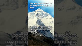 Why Over 200 Bodies Remain on Mount Everest [upl. by Nesyla339]