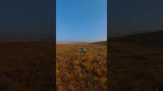 Epic Hike Through Scotland’s Stunning Countryside 🌄 Shorts [upl. by Bernette]