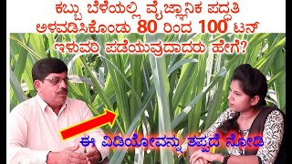 Sugarcane yield per acre  80 to 100 tons  Can you grow [upl. by Adnilrem]