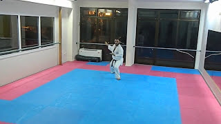 Bassai Dai Shotokai Egami Ryu Karate Union [upl. by Esinart]