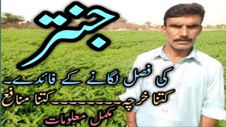 Jantar Farming pakistan [upl. by Stanton]