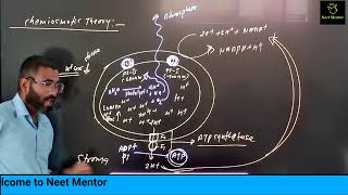 Plant Physiology  Photosynthesis Lecture  3 neet2024 biology live class [upl. by Adleme406]