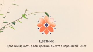 Цветник Дипладения почему не цветет и как сохранить зимой [upl. by Fran296]