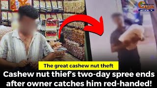 The great cashew nut theft Cashew nut thief’s twoday spree ends after owner catches him redhanded [upl. by Alyahs239]