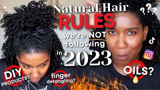 Natural Hair RULES WERE NO LONGER FOLLOWING IN 2023  Naptural85 [upl. by Ynaffik417]