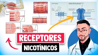 Farmacologia  Função dos RECEPTORES NICOTÍNICOS │ Medicina Resumida [upl. by Nooj662]