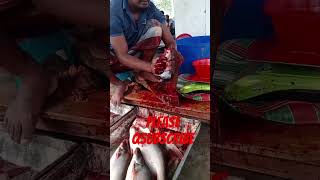 Amazing Delicious Pangas Fish Cutting FishCuttingSkills shorts​ youtubeshorts​ fish instafish [upl. by Eerahc15]