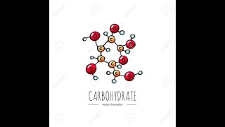 CARBOHYDRATES chemistry شرح بالعربي [upl. by Assadah327]