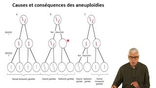 Cours N° 10 Aberrations chromosomiques  Anomalies de nombre [upl. by Anytsirk]