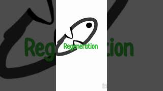 quotregenerationquot type of asexual reproduction animation animation biology reproduction [upl. by Aitnyc]