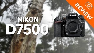 Nikon D7500 review  Kamera Express [upl. by Toh511]