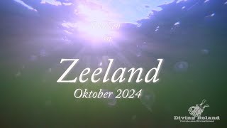 Zeeland oktober 2024 [upl. by Ayala301]