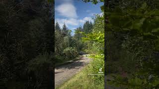 3 right cut 🔥 cymru wales welsh raliceredigion2024 ralio rally puresound fyp skoda [upl. by Genet309]