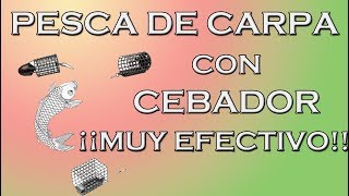 Pesca de Carpas con cebador plomado Iniciación al feeder y carpfishing FÁCIL Y EFECTIVO [upl. by Ahsinor]