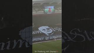 Freiburg mit Choreo gegen Mainz [upl. by Yticilef]