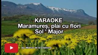 Maramureș plai cu flori Sol  Maj  KARAOKE [upl. by Boorer]