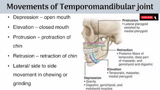 Movements of Temporomandibular Joint  Axes of Movements  Muscles producing the Movements with AA [upl. by Anthea]