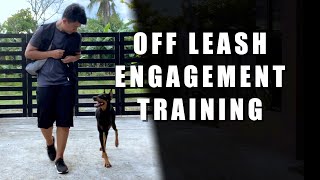 Off leash engagement training [upl. by Lowson605]