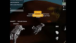 Playbox Safari Secrets 1  Island note secret and sword playboxsafari secret viral island [upl. by Fiester]