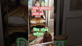 Shiv tandav stotram♥️shortsytshorts viralvideoशिव तांडव स्तोत्रbhajan MargShiv tandav stotram [upl. by Krutz]