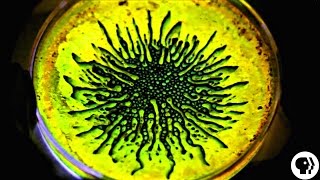 AMAZING Ferrofluid  Glow Sticks [upl. by Jeno]