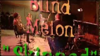 Blind Melon  Skinned Live 1995 [upl. by Lauder]