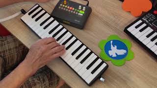 HOHNER vintage Melodica Piano 36 🧡 DemoTest 2 Songs  chromatic scale  Drums by Korg KR mini [upl. by Eiba927]