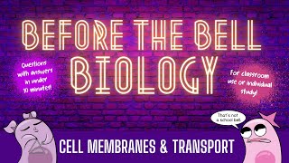 Cell Membranes and Transport Before the Bell Biology [upl. by Mcgregor]