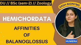 Affinities of balanoglossusZoologysem 1  Osmania University humera [upl. by Jolenta]