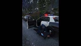 GTA police department GTA Cop Clips Forgotten Moments [upl. by Ahseirej]