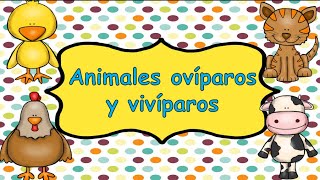 Animales ovíparos y vipíparos para niños Power Point Gratis🎮👇 [upl. by Ranna539]