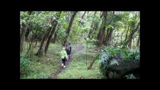 Halawa Valley Hike to Moaula Waterfall Molokai Hawaii [upl. by Ameehsat309]