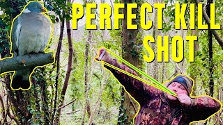 Slingshot Hunting Pest Control with Gamekeeper John THE PERFECT SHOT [upl. by Yesteb]