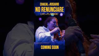 Coming Soon quotNO RENUNCIARÉquot en el CONCIERTO 360° en lascalamiami concierto chacal miami [upl. by Ybeloc]