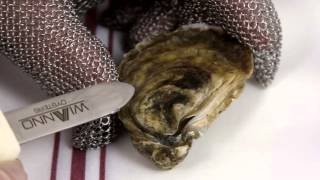 How to Shuck an Oyster The Right Way [upl. by Decamp]