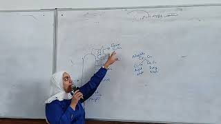 Sec 04 Petroleum Refining  Dr Norhan Hesham [upl. by Sasnak690]