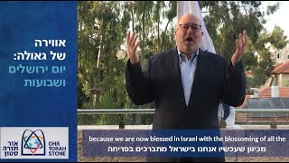 quotRedemption in the Air Yom Yerushalayim and Shavuotquot  Rabbi Kenneth Brander [upl. by Akimot]