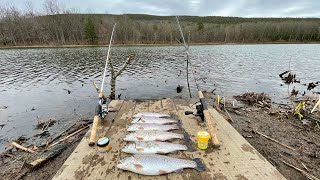 Stocked TROUT FISHING with Powerbait [upl. by Nameerf]