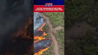 Thousands Of Hectares Scorched As Wildfires Sweep Peru Death Toll Reportedly Reaches 15 shorts [upl. by Zellner]