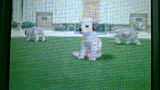 Nintendogs Dalmatiner [upl. by Savdeep]