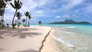 Tropical Island Walk  Ocean Beach Nature  Motu Tane  Bora Bora French Polynesia 🇵🇫  4K Travel [upl. by Eirok]