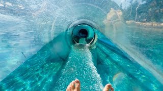 Aquatica Orlando  Dolphin Plunge  Water Slide Through Tank [upl. by Anawait]